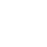 SSL Fintech Icon